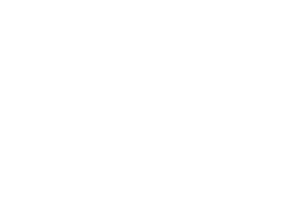 Dentinet